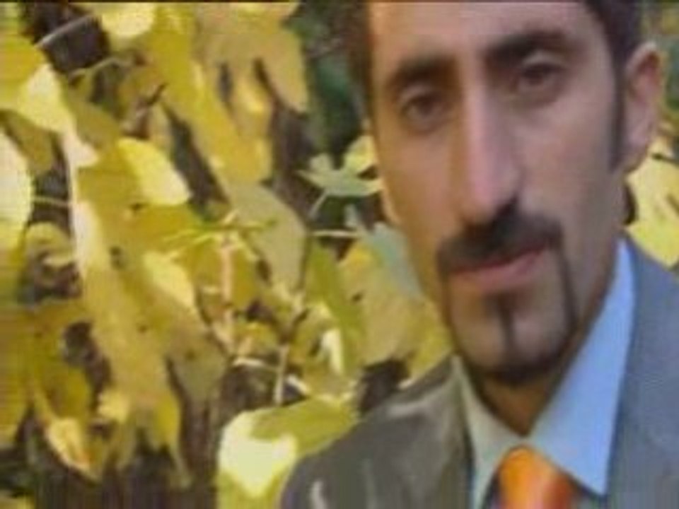 Burhanensonhaliavi