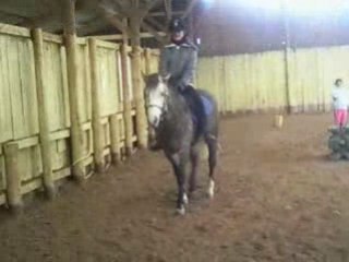 1er cours a Sammeron avec Polka.