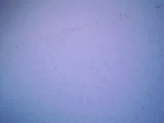 L'amour eternel Partie 1 de Mysha .Chanté Par Sumeye-x3