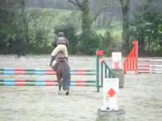 Momo et Fu Martinvast le 15 février 80-90 cm sans-faute 7e