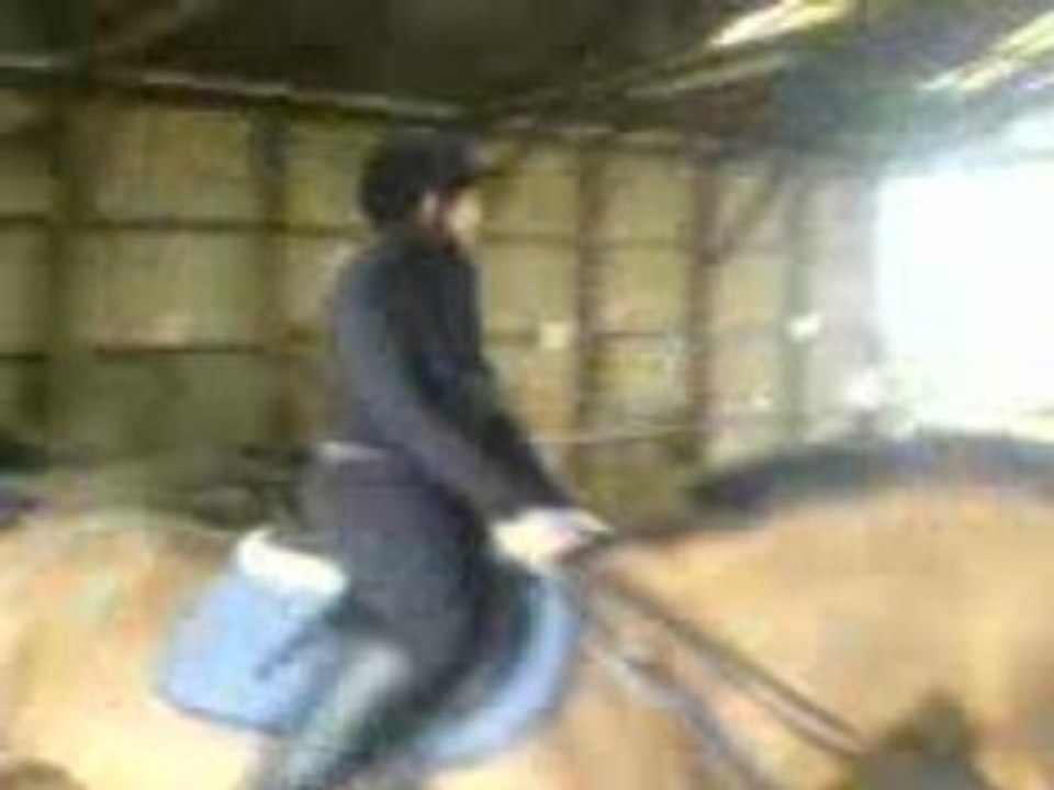 Galop avec Maheva.