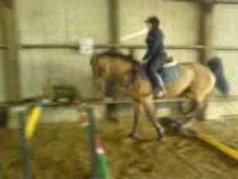 Oxer avec Maheva.