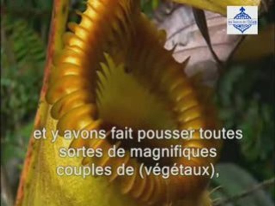 06- Créer pour l'adoration