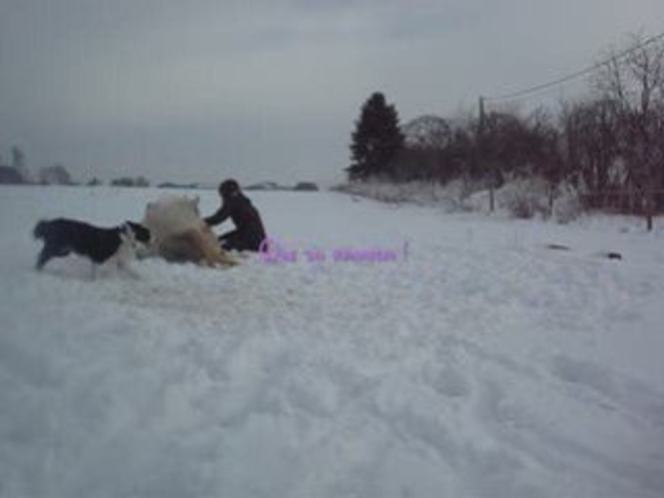 Neige