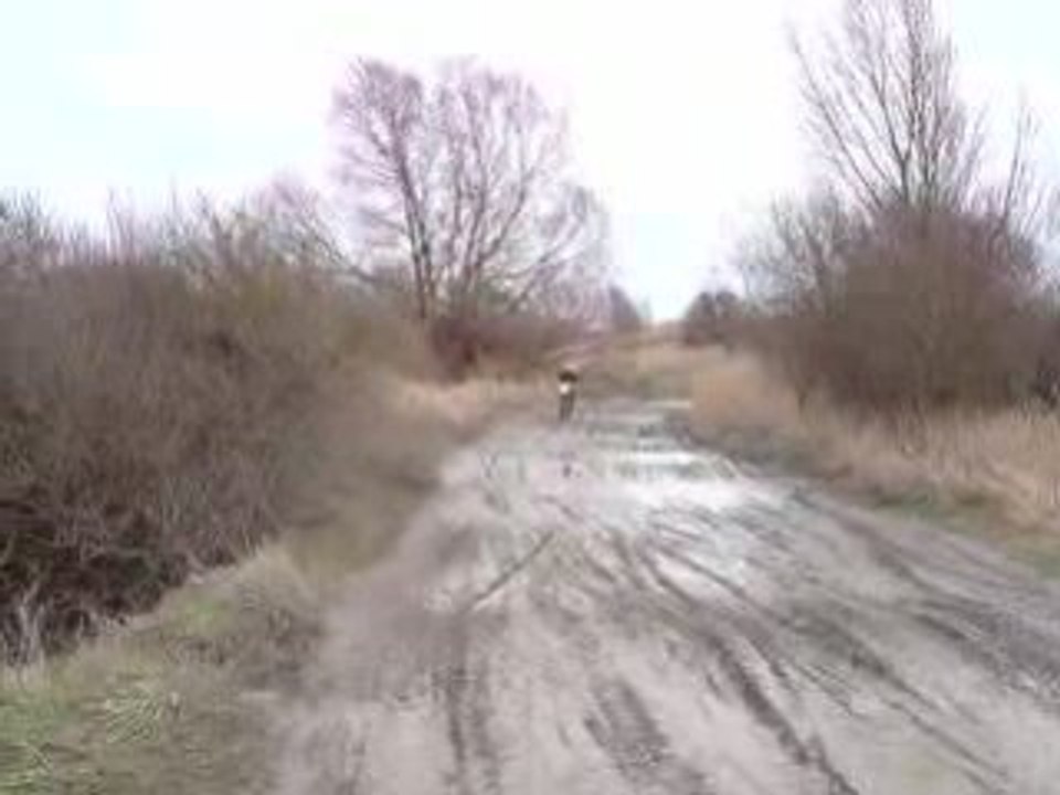 cr 80