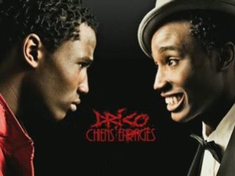 Chiens enragés - Drico