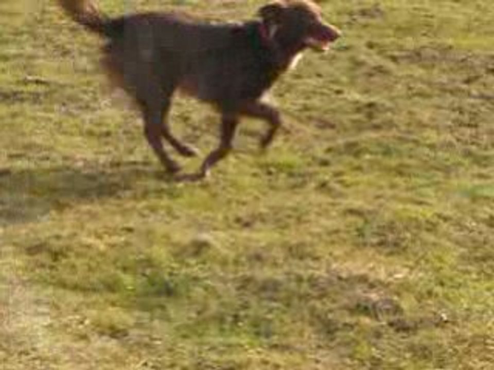 cooper extrait stage 2009