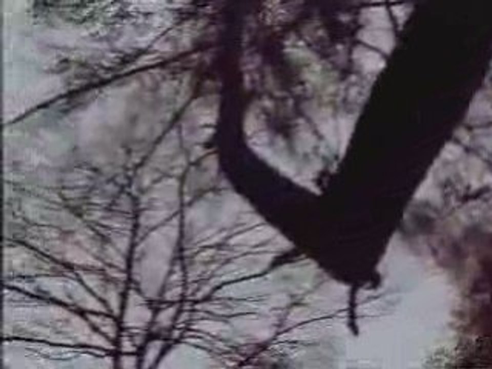 Factory - Path Through The Forest