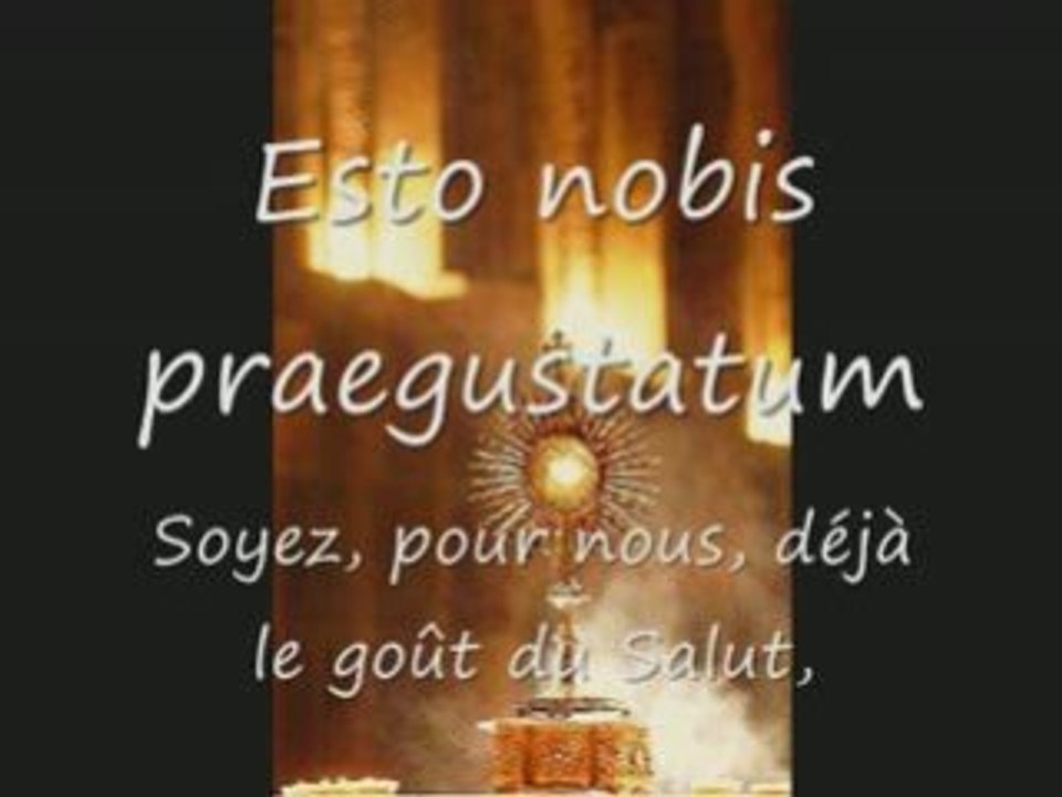 Jésus, vrai Dieu - vrai Homme