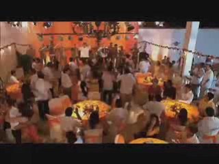 El angel del acordeón