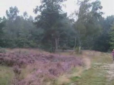 Diaporama de photos - année 2007-3