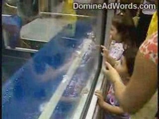 Conceptos de marketing en los negocios online