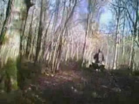 SplashQuad rando du 14.02.2009 - 2 - Le boubier