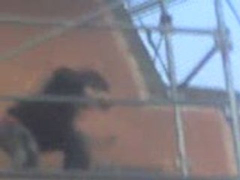 fronton de st pée sur nivelle