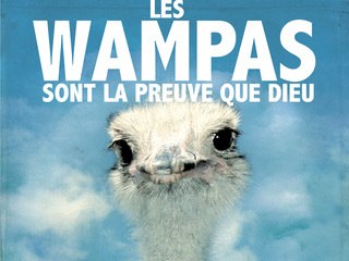 LES WAMPAS la saga 2009 (version intégrale)
