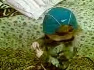 Baiim Baiiim...tapat tapat