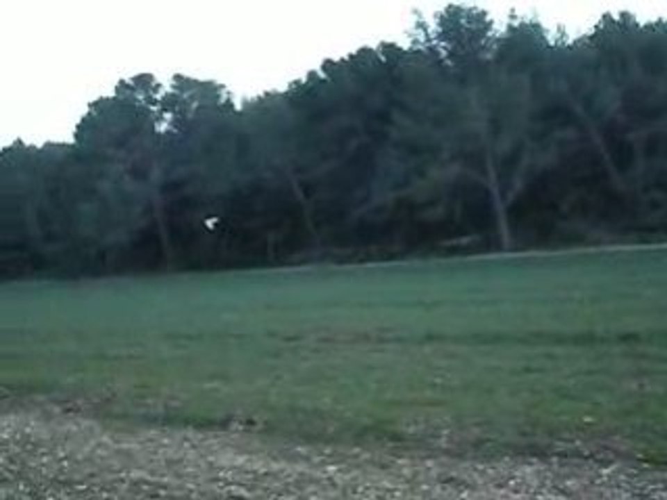 swift 2 aile volante