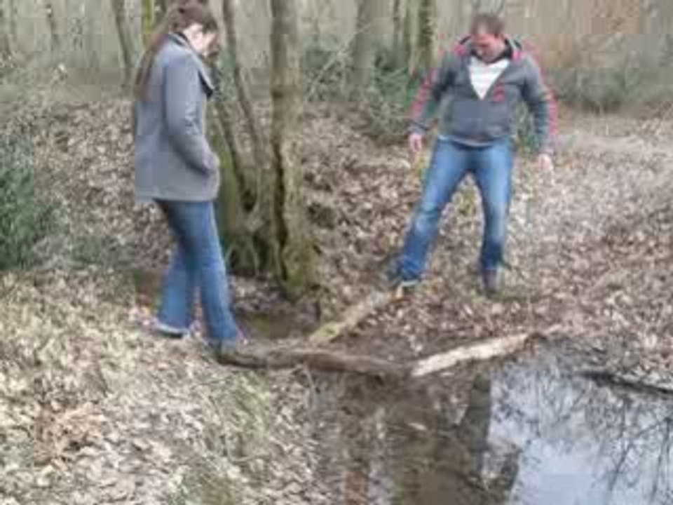 cricri a la recherche du lac perdu bis