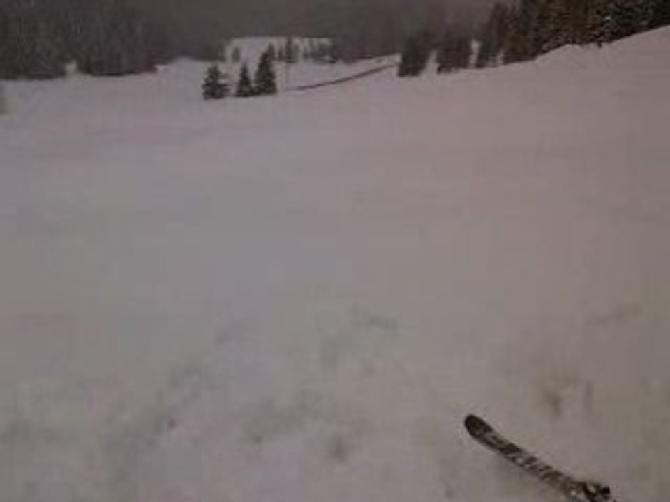 Frontflip ski rater