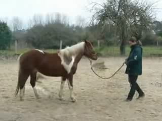 Reve Ideal - Gestuelle - 14 02 09