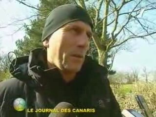 Ligue 1 : Nantes arrache le nul  à Valenciennes (1-1)