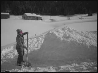 Video snow Kevin yvan max buch damien