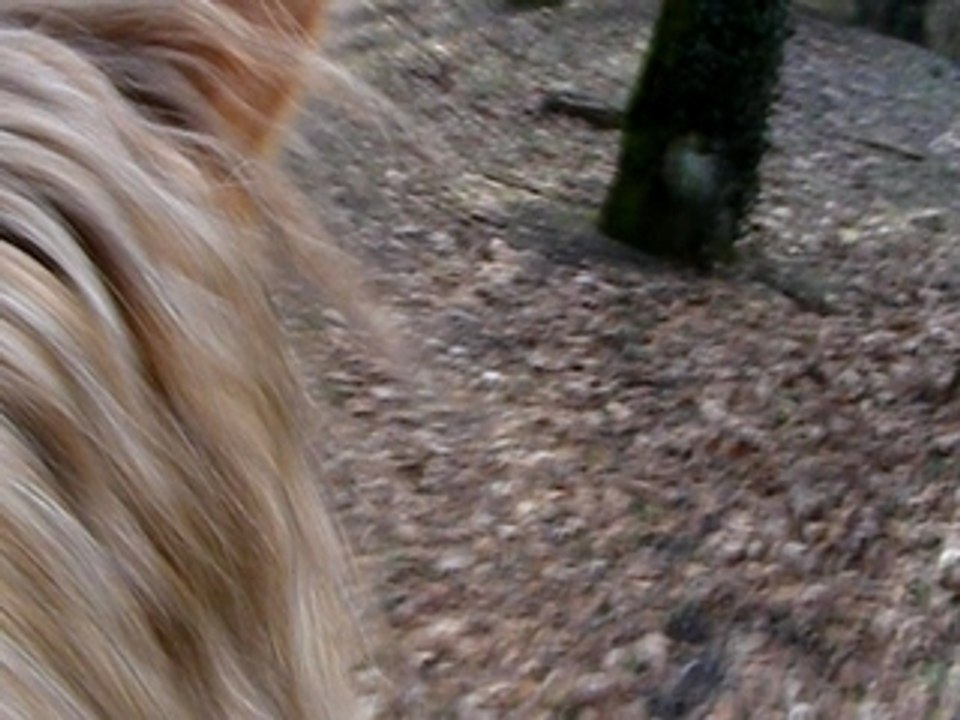 Trot de sapri'