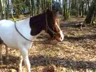 14.02.09 Balade à pied