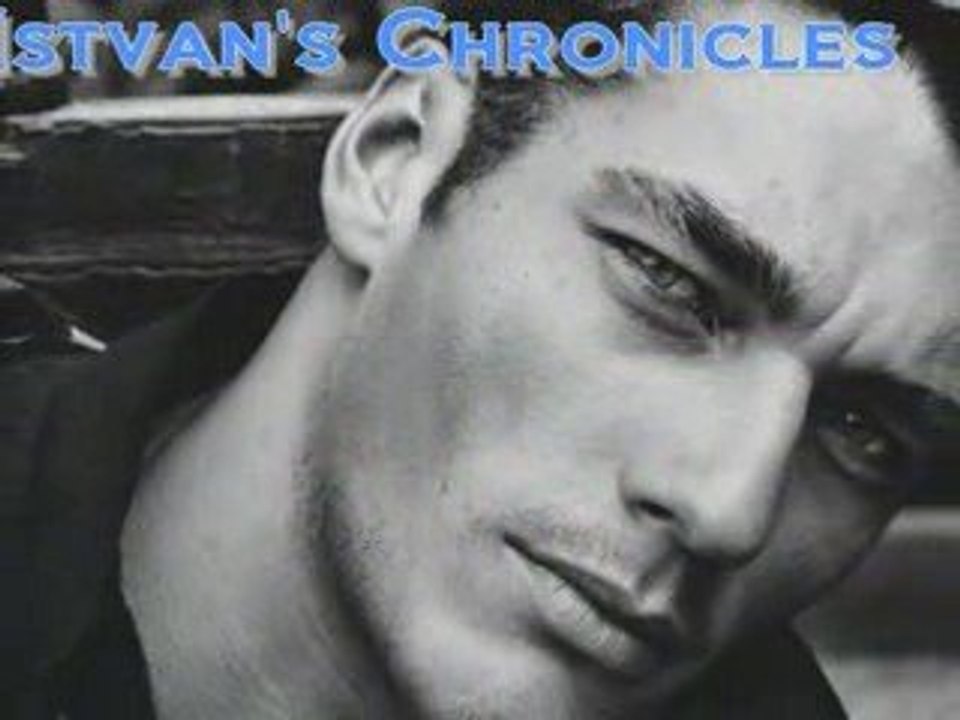 Les Chroniques d'istvan un an déjà !