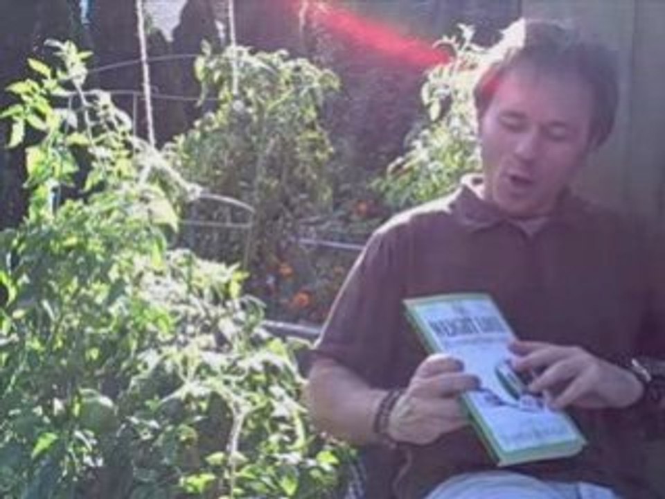 Free Weight Loss Hypnosis | Weight Loss Hypnosis Seminar