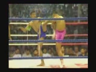 MUAY THAI BEST OF KNOCK OUT