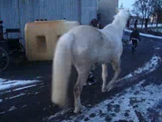 Théaa & Café - Crème