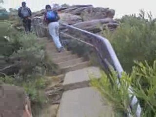 Watsons Bay trip