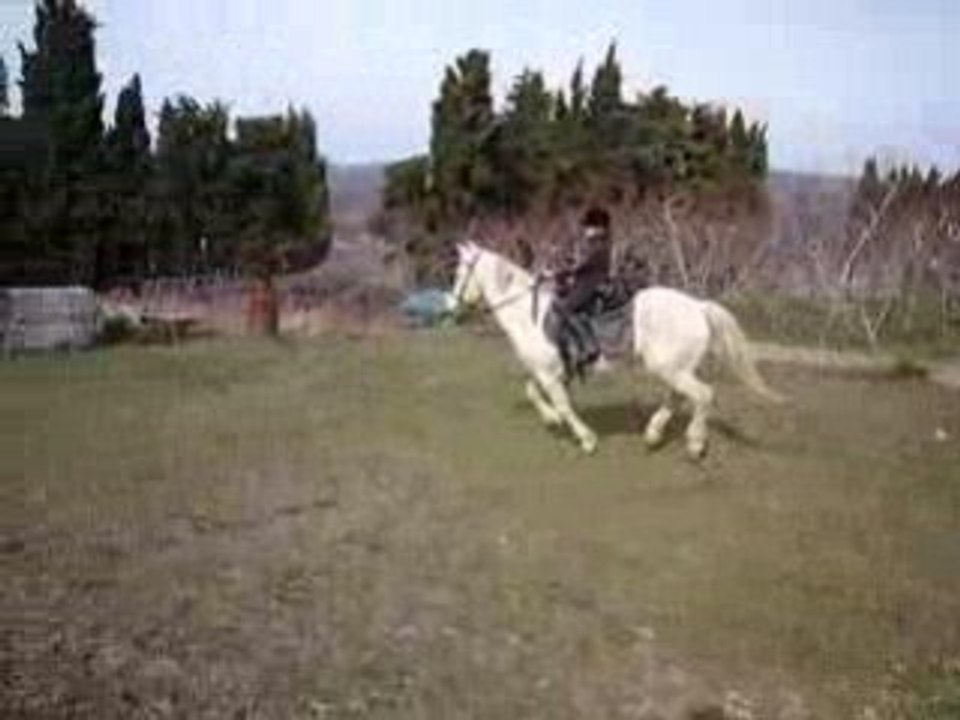 Opale et  manon16 fevrier 2009 013