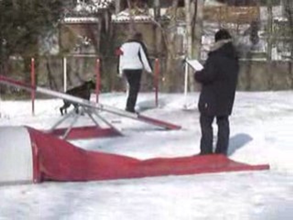 Agility betty boop