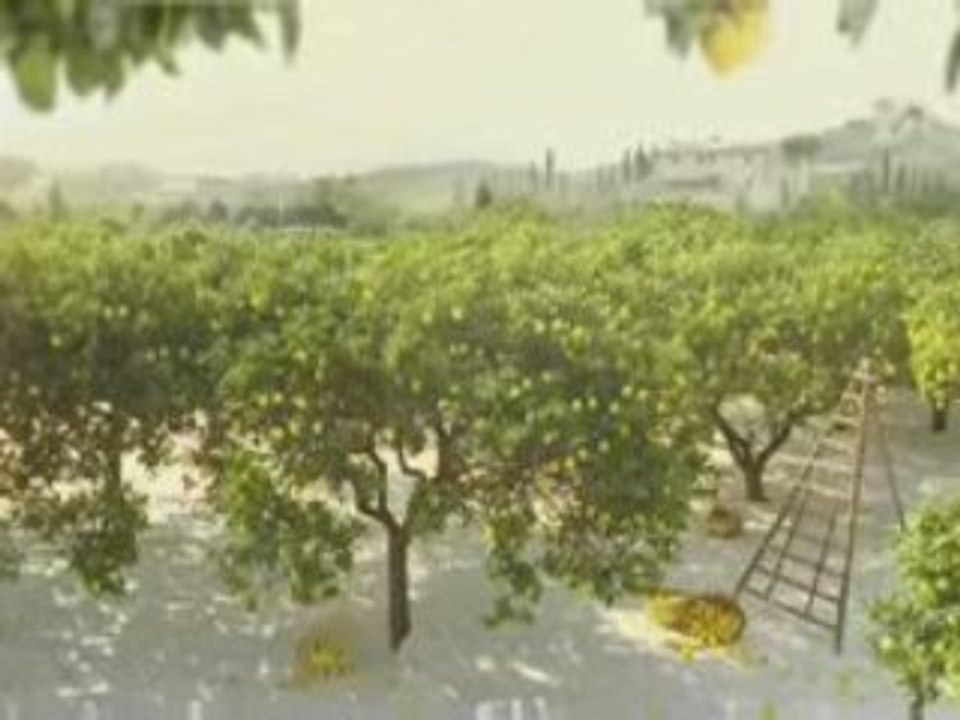 pub Omo aux Huiles essentielles 2009