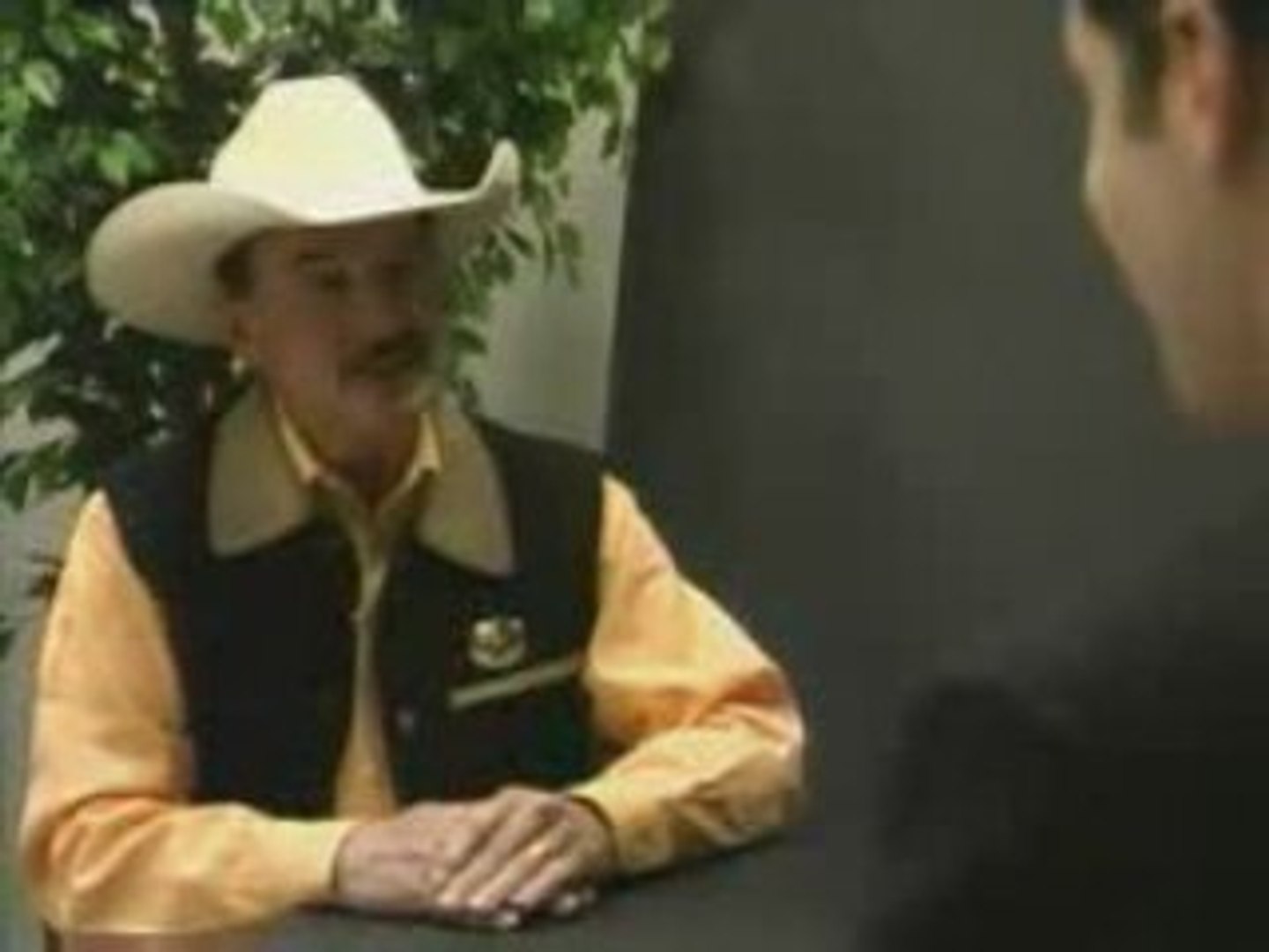 Dusty Un Chat Maltraité Sauvé Par Les Internautes