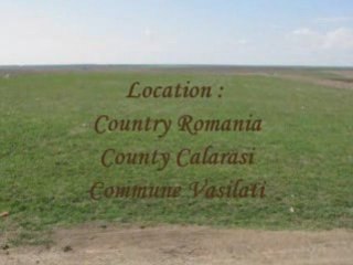Agricultural land for sale in Romania, Calarasi , Sohatu