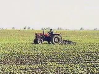 Agricultural land for sale in Romania, Calarasi