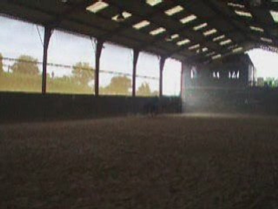 les chevaux qui font les couillons =)