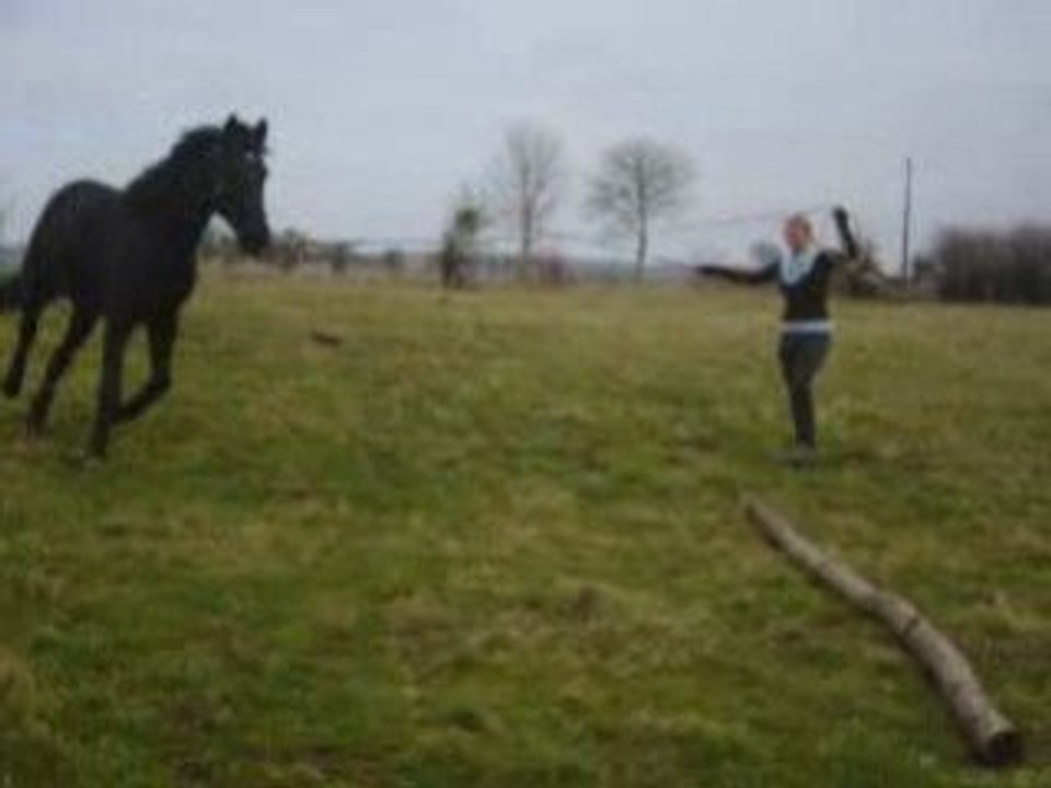 Quinçy pour la premiere fois en longe