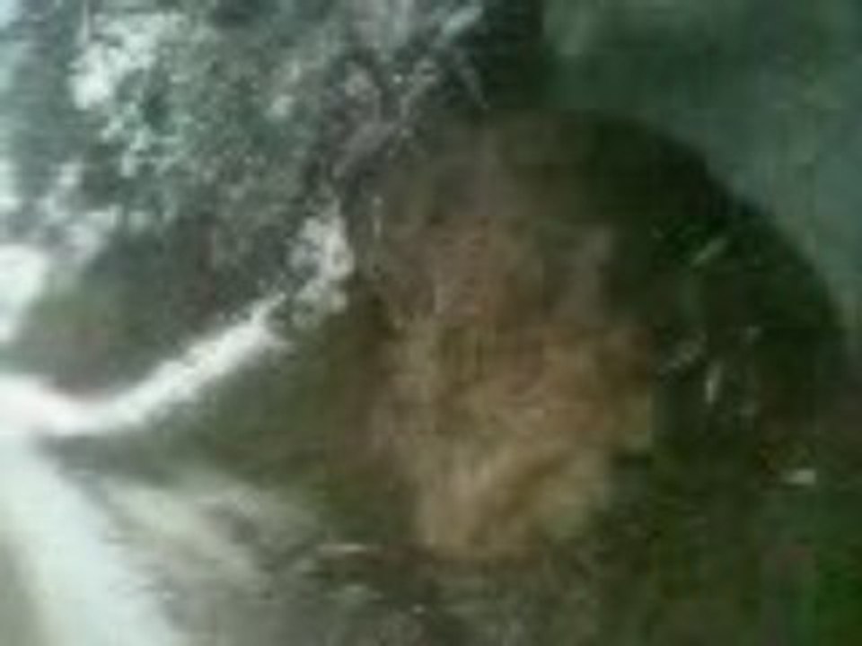 kendira sou la neige
