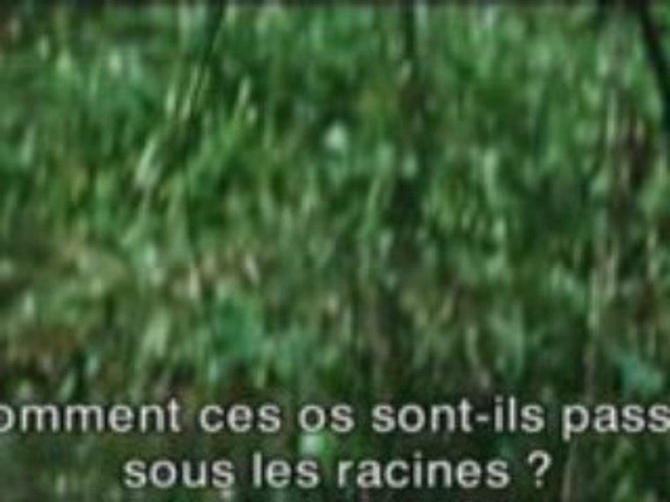 Dans la brume électrique - Extrait 2