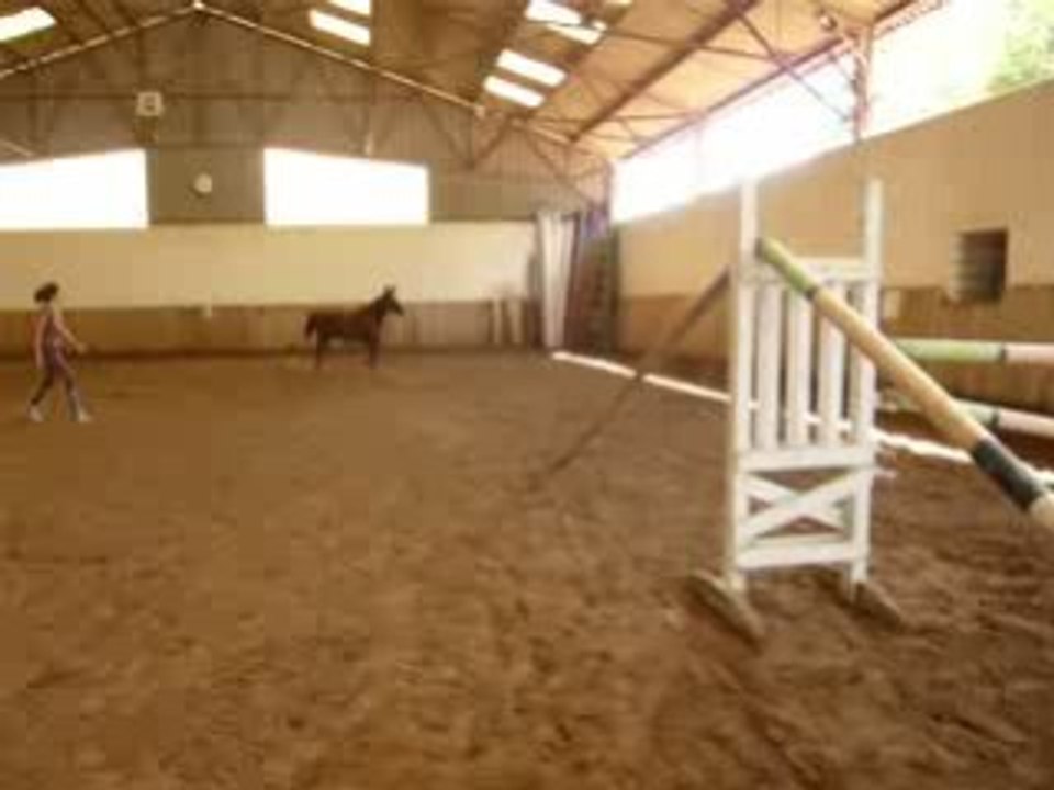 Irmione saut 8