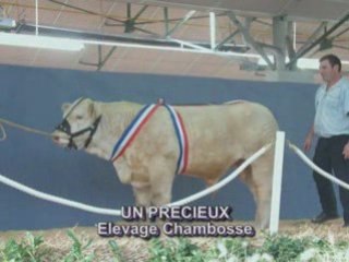 10ans Gueugnon