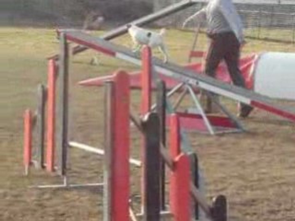 Entrainement CO'' 15 02