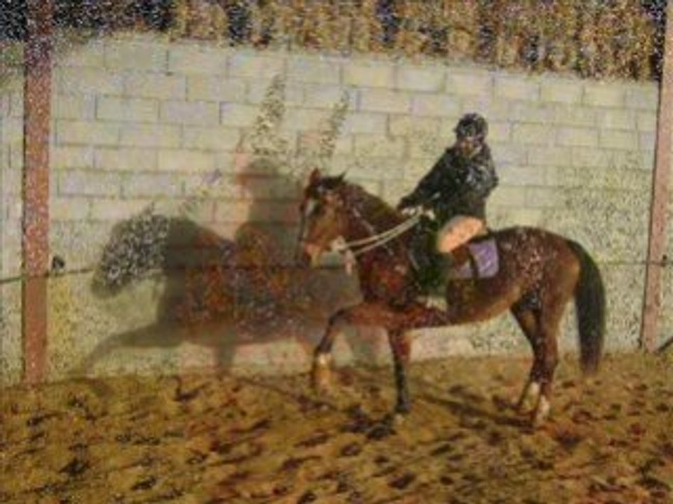 2008, meilleurs moments