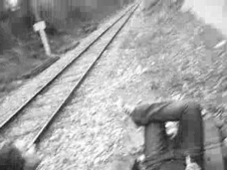 Cri de guerre.