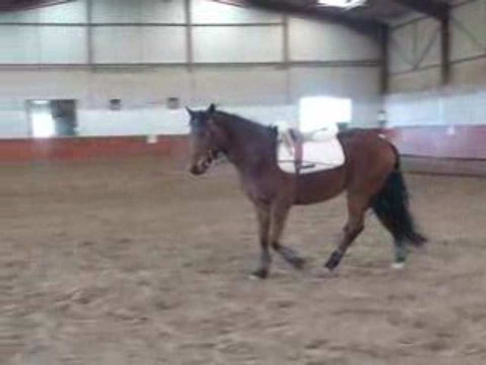 Moon poneii =D