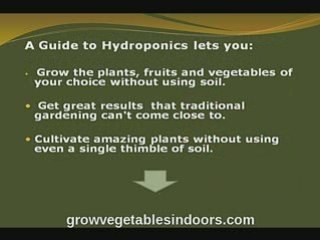Grow fresh food indoors with out any soil
